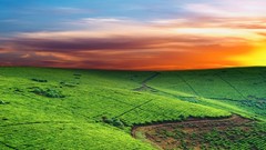 Squares hills Green Culture crop fields