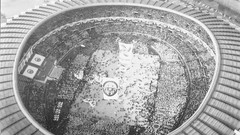 Stadium architecture