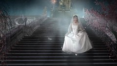 Stairways Cinderella