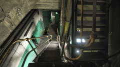 Stairways Industrial Plants flower