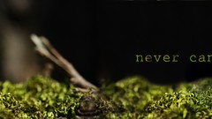 Star wars Legos multiscreen