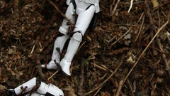 Star wars stormtroopers ants