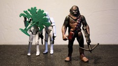 Star wars stormtroopers chewbacca
