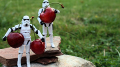 Star wars stormtroopers grass