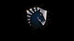 Starcraft Team Liquid starcraft