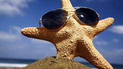Starfish underwater sunglasses sealife