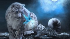 Stars blue moon Birds cubs paintings Leopards snow leopards 