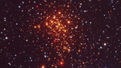 Stars cluster outer space