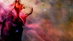 Stars Dogs Siberian Husky outer space