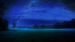 Stars fields mist night