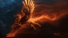 Stars fire and high Resolution shadowumbre