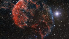 Stars jellyfish outer space