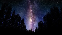 Stars Milky Way space art Space night Trees nature Starry Night