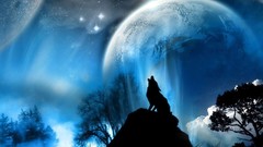 Stars moon Wolves