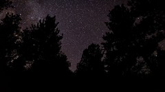 Stars silhouettes skyscapes