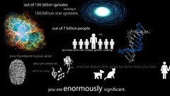 Stars text cats Dogs couple Typography black background human 