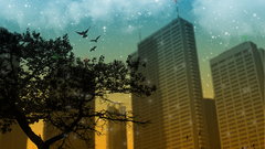 Starstruck suburbia by mu