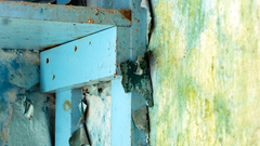 State school Your are