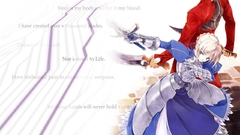 Stay night original Archer