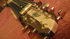 Steampunk acoustic guitars