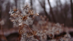 Steel couple Your Made have