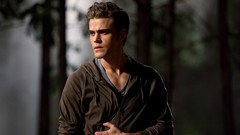 Stefan Salvatore TV The