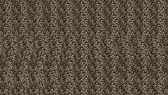 Stereogram