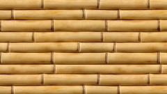 Sticks bamboo