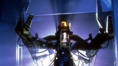 Stills amp Animals sigourney