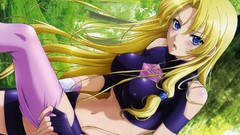 Stockings blondes anime girls blue eyes nipples The Legend Of 