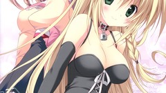 Stockings blondes anime girls cleavage luna visual novels scans 