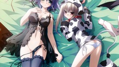 Stockings blush animal ears ecchi minori chikotam underwear 