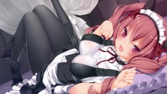 Stockings blush anime girls maids nekomimi steins gate ecchi 