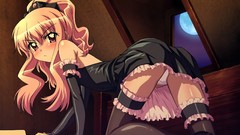 Stockings blush maids zero no tsukaima ecchi redheads panties 