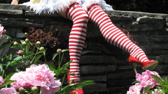 Stockings ronald mcdonald striped