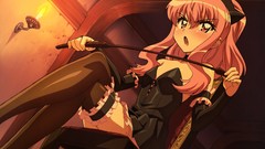 Stockings whip blush pink hair anime girls zero no tsukaima 
