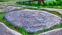 Stola grafika high oboi