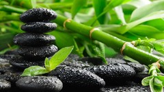 Stones bamboo water drops