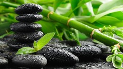 Stones black Green bamboo