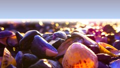 Stones bokeh seashells