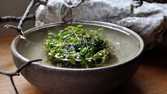 Stones branches moss decorations