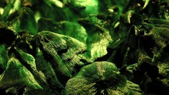 Stones crystals malachite minerals