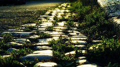 Stones grass paths