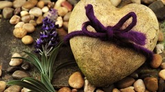 Stones Hearts