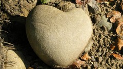 Stones Hearts