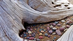 Stones nature Beaches