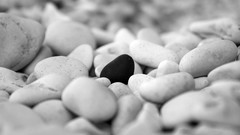 Stones nature grayscale depth of field