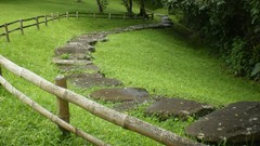 Stones nature Green statues rocks paths colombia San Agustin