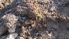 Stones nature land iran artwork