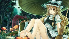 Stones nature Trees grass rain mushrooms Plants dress hats wet 